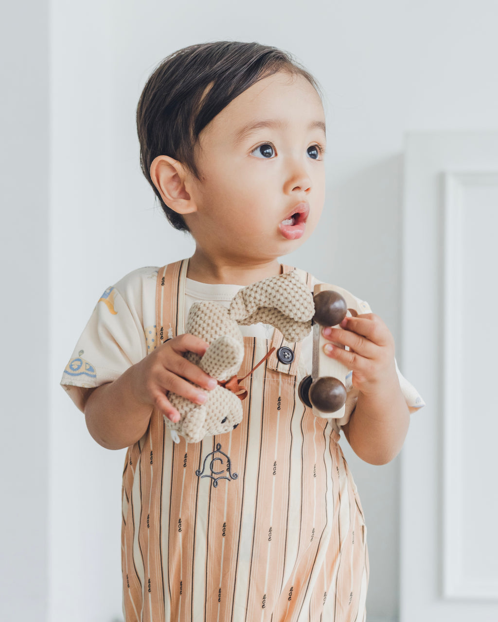 Salopette  -lce stripe-