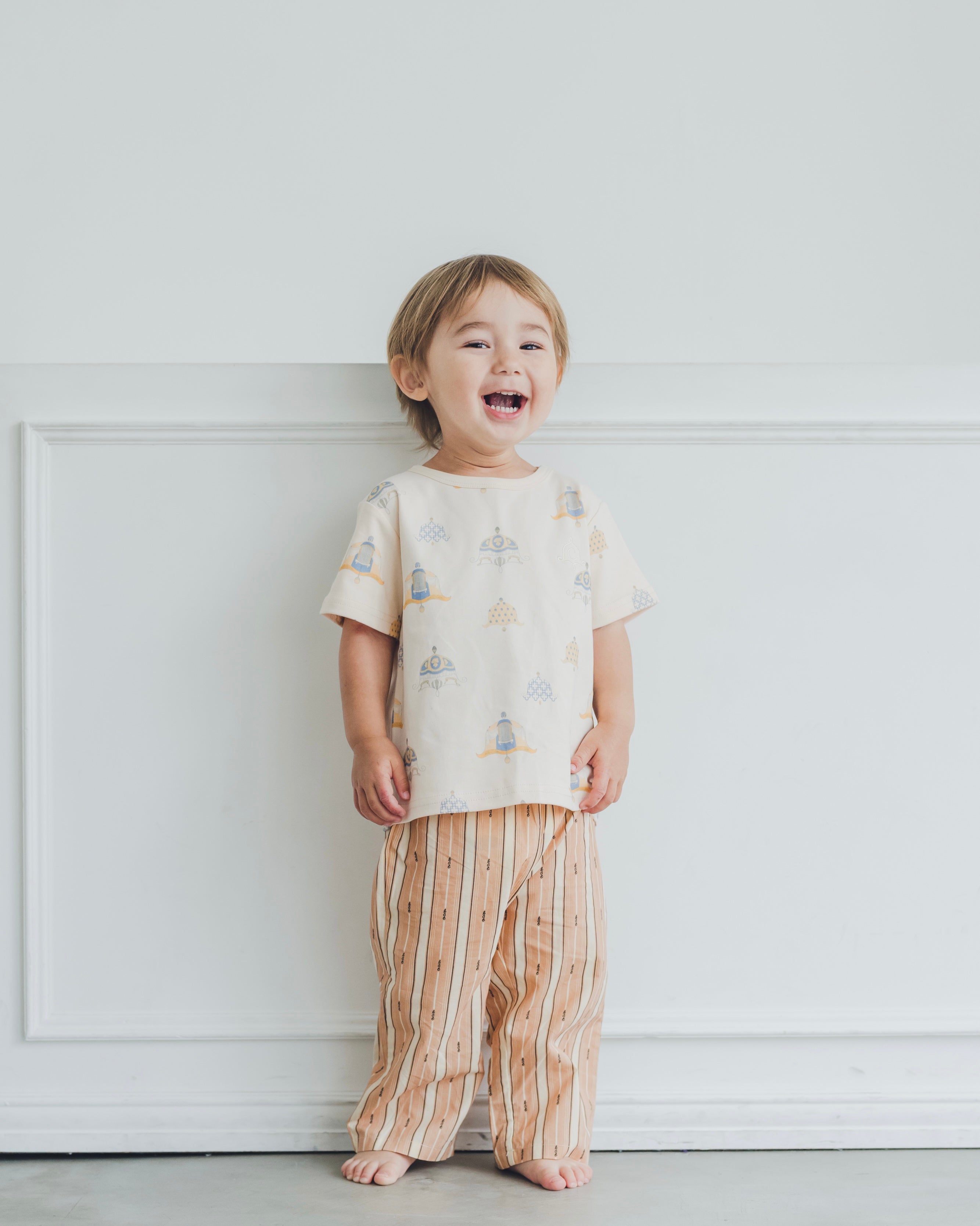 Straight Pants -lce stripe-