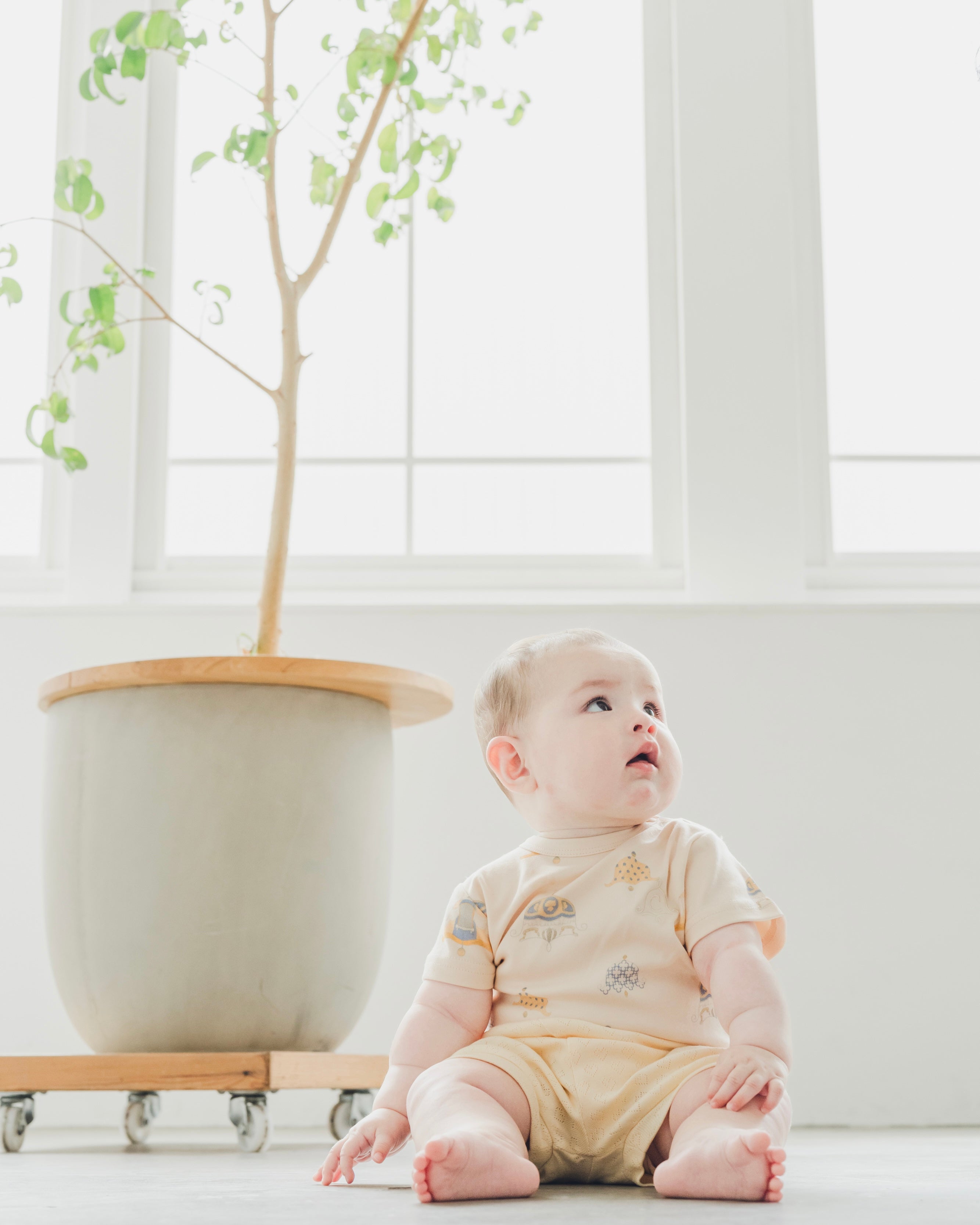 Rompers  -chime-